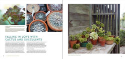 Alternative view 12 of The Bold Dry Garden: Lessons from the Ruth Bancroft Garden