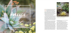 Alternative view 14 of The Bold Dry Garden: Lessons from the Ruth Bancroft Garden