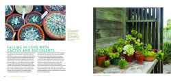 Alternative view 4 of The Bold Dry Garden: Lessons from the Ruth Bancroft Garden