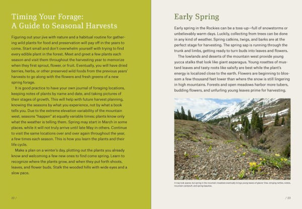 Mountain States Foraging: 115 Wild and Flavorful Edibles from Alpine Sorrel to Wild Hops