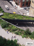 Alternative view 12 of Gardens of the High Line: Elevating the Nature of Modern Landscapes