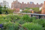 Alternative view 7 of Gardens of the High Line: Elevating the Nature of Modern Landscapes