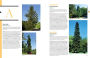 Alternative view 2 of The Tree Book: Superior Selections for Landscapes, Streetscapes, and Gardens