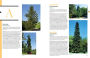 Alternative view 10 of The Tree Book: Superior Selections for Landscapes, Streetscapes, and Gardens