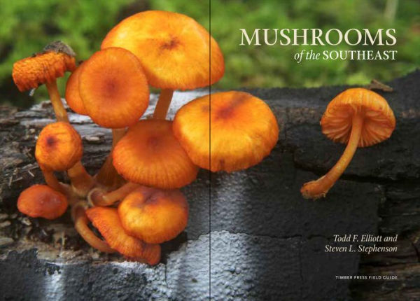 Mushrooms of the Southeast