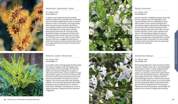 Shrubs: Discover the Perfect Plant for Every Place in Your Garden