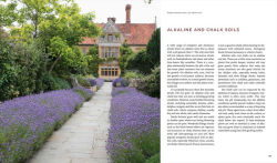 Alternative view 13 of Shrubs: Discover the Perfect Plant for Every Place in Your Garden