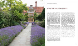Alternative view 5 of Shrubs: Discover the Perfect Plant for Every Place in Your Garden