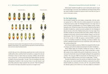 Alternative view 12 of Our Native Bees: North America's Endangered Pollinators and the Fight to Save Them