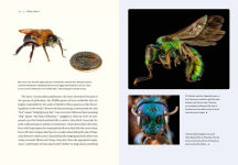 Alternative view 4 of Our Native Bees: North America's Endangered Pollinators and the Fight to Save Them