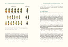 Alternative view 6 of Our Native Bees: North America's Endangered Pollinators and the Fight to Save Them