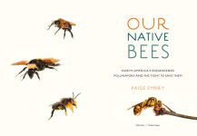 Alternative view 9 of Our Native Bees: North America's Endangered Pollinators and the Fight to Save Them