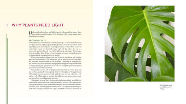 Gardening Under Lights: The Complete Guide for Indoor Growers