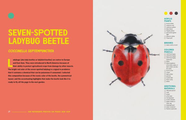 The Insect Artist: How to Observe, Draw, and Paint Butterflies, Bees, and More