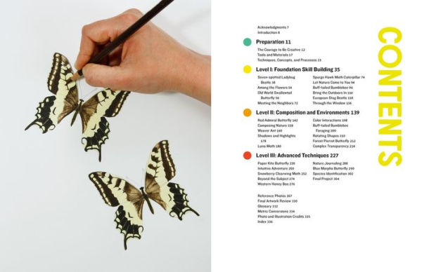 The Insect Artist: How to Observe, Draw, and Paint Butterflies, Bees, and More