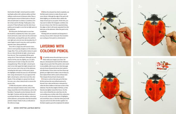 The Insect Artist: How to Observe, Draw, and Paint Butterflies, Bees, and More