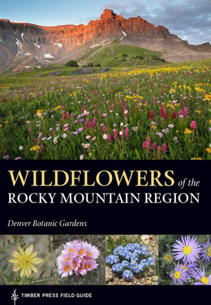 A Guide to Colorado's Spectacular Wildflower Season - 5280