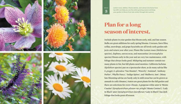 Ground Rules: 100 Easy Lessons for Growing a More Glorious Garden