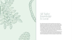 Alternative view 5 of Iwigara: American Indian Ethnobotanical Traditions and Science