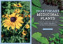 Alternative view 16 of Northeast Medicinal Plants: Identify, Harvest, and Use 111 Wild Herbs for Health and Wellness