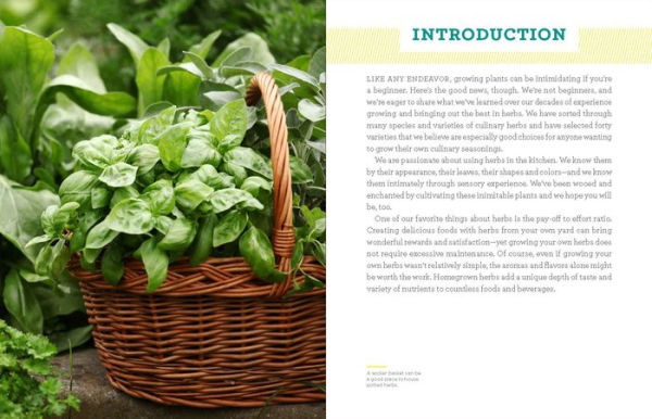 Grow Your Own Herbs: The 40 Best Culinary Varieties for Home Gardens