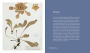 Alternative view 2 of Herbarium: The Quest to Preserve and Classify the World's Plants