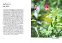 Alternative view 4 of Uprooted: A Gardener Reflects on Beginning Again