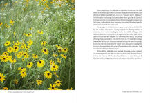 Alternative view 7 of Uprooted: A Gardener Reflects on Beginning Again