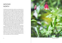 Alternative view 10 of Uprooted: A Gardener Reflects on Beginning Again