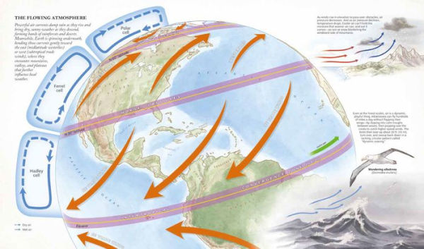 The Atlas of a Changing Climate: Our Evolving Planet Visualized with More Than 100 Maps, Charts, and Infographics