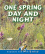 One Spring Day and Night