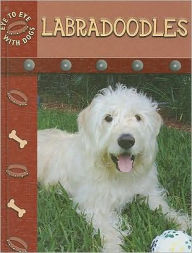 Labradoodles