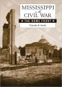 Mississippi in the Civil War: The Home Front