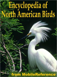Title: The Illustrated Encyclopedia Of North American Birds: An Essential Guide To Common Birds Of North America, Author: MobileReference