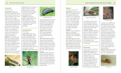 Alternative view 2 of The Organic Gardener's Handbook of Natural Pest and Disease Control: A Complete Guide to Maintaining a Healthy Garden and Yard the Earth-Friendly Way