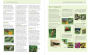 Alternative view 4 of The Organic Gardener's Handbook of Natural Pest and Disease Control: A Complete Guide to Maintaining a Healthy Garden and Yard the Earth-Friendly Way
