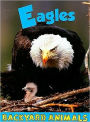 Eagles