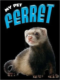 Ferret