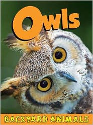 Owls