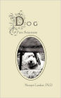 Dog: Pure Awareness