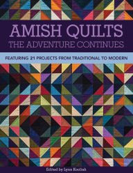 Title: Amish Quilts, The Adventure Continues: Featuring 21 Projects from Traditional to Modern, Author: Lynn Koolish