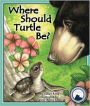 Where Should Turtle Be?