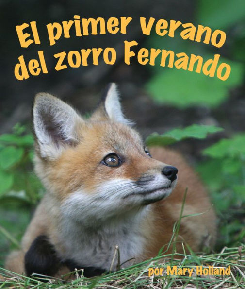 El primer verano del zorro Fernando