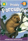 Prickly Porcupine