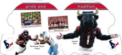 Alternative view 2 of Houston Texans 101
