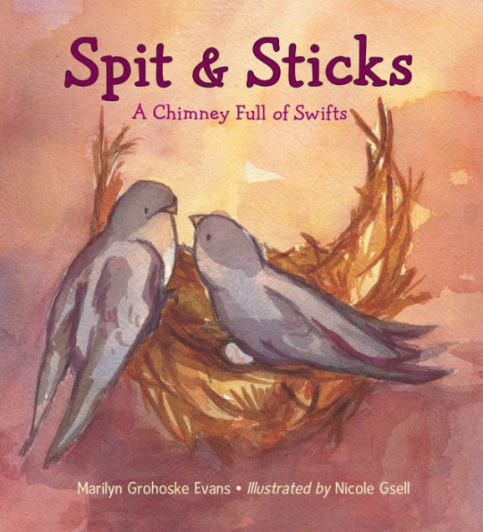 Spit & Sticks: A Chimney Full of Swifts