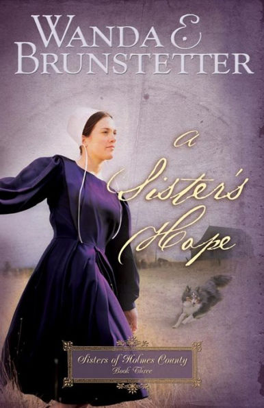 A Sister's Hope (Sisters of Holmes County Series #3)