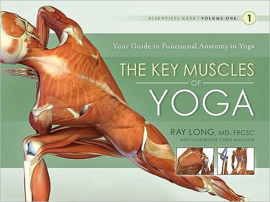 The Key Muscles of Yoga: Your Guide to Functional Anatomy in Yoga