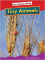 Tiny Animals