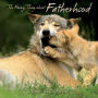 The Funny Thing about Fatherhood